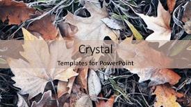  Presentation with dry - Cool new slide deck with dying garden - pile of different dry leaves backdrop and a coral colored foreground