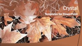  Presentation with dry - Audience pleasing theme consisting of pile of different dry leaves backdrop and a red colored foreground