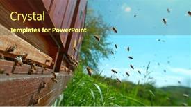  Presentation with bee hive - PPT theme featuring freeze-motion-of-bees-flying background and a tawny brown colored foreground
