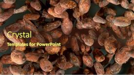  Presentation with cocoa beans - Slide deck featuring freeze-motion-shot-of-flying background and a tawny brown colored foreground