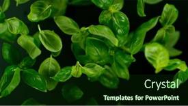  Presentation with freeze - 