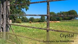  Presentation with agriculture - PPT theme featuring french agriculture landscape with brown background and a gold colored foreground