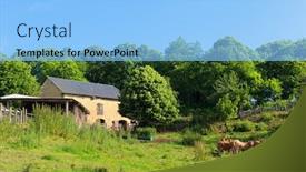  Presentation with barn - Slides consisting of french-barn-with-brown-limousin background and a light blue colored foreground