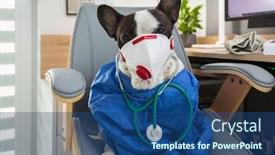  Presentation with viruses - Amazing theme having french-bulldog-as-a-medicine backdrop and a ocean colored foreground