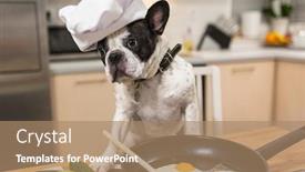  Presentation with frying - PPT layouts with french-bulldog-cook-frying-eggs background and a coral colored foreground