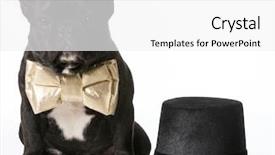  Presentation with top hat - Slide deck enhanced with french bulldog dressed up background and a white colored foreground