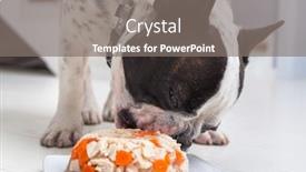  Presentation with jelly - Colorful slide deck enhanced with french-bulldog-eating-meat backdrop and a gray colored foreground