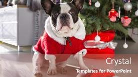  Presentation with christmas tree - Theme with french-bulldog-in-santa-costume background and a coral colored foreground