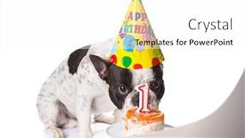  Presentation with first birthday - Slide deck enhanced with french bulldog on his first birthday with doggy cake background and a white colored foreground