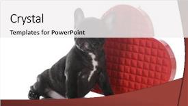  Presentation with seven wonder of world - Beautiful PPT layouts featuring french bulldog puppy sitting beside backdrop and a white colored foreground