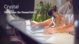  Presentation with sitting posture and computer ergonomics - Beautiful slide set featuring french bulldog puppy sitting backdrop and a wine colored foreground