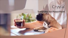  Presentation with puppy - Presentation design with french bulldog puppy sitting background and a mint green colored foreground