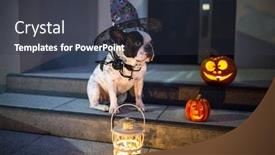  Presentation with lanterns - PPT theme having french bulldog sitting at house door with pumpkin lanterns and witch halloween hat at night background and a dark gray colored foreground