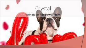  Presentation with rose falling animation - Theme enhanced with french-bulldog-with-falling-rose background and a sky blue colored foreground