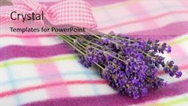  Presentation with lavender - Audience pleasing PPT layouts consisting of french country - purple bouquet lavender on picnic backdrop and a  colored foreground