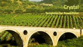  Presentation with vineyard - Presentation theme having french country - rows of grapevines background and a  colored foreground