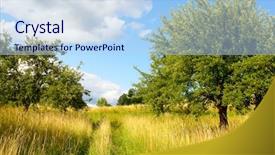  Presentation with nature - Colorful theme enhanced with soldier with a rifle in the hands backdrop and a wine colored foreground