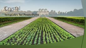  Presentation with botanical garden - Presentation enhanced with french-gardens-and-the-greenhouse background and a light blue colored foreground