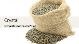  Presentation with lentils - Audience pleasing slide set consisting of french-green-lentils-lentilles-du backdrop and a coral colored foreground
