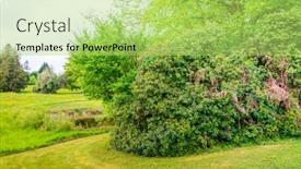  Presentation with landscape - Colorful presentation enhanced with french-landscape-haute-vienne-limousin backdrop and a yellow colored foreground