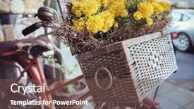  Presentation with vintage retro - Slide set with french transports - retro vintage red bicycle background and a tawny brown colored foreground