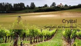  Presentation with vineyard - PPT layouts consisting of france bordeaux - french vineyard along the garonne background and a gold colored foreground