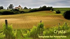  Presentation with harvest - Presentation having french winery in aquitaine background and a tawny brown colored foreground
