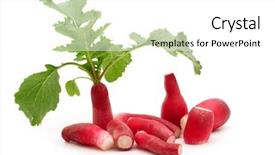  Presentation with bio - PPT theme featuring fres bio long red radish background and a  colored foreground