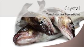  Presentation with fish - Theme featuring fresh-alaska-pollock-fish-isolated background and a light gray colored foreground