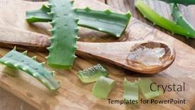  Presentation with leaves - Amazing PPT theme having fresh-aloe-leaves-and-aloe backdrop and a coral colored foreground