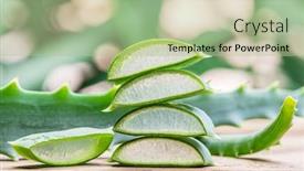  Presentation with leaves - PPT theme having fresh-aloe-leaves-and-aloe background and a mint green colored foreground