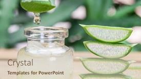  Presentation with leaves - Presentation design featuring fresh-aloe-leaves-and-aloe background and a soft green colored foreground