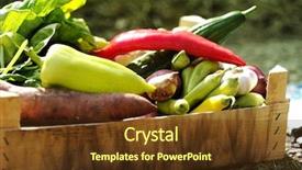  Presentation with grown - Amazing slides having large onion harvest - fresh and colorful vegetables backdrop and a tawny brown colored foreground