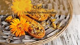  Presentation with calendula - Audience pleasing slide set consisting of fresh and dried calendula flowers on wooden background backdrop and a gold colored foreground