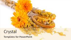  Presentation with calendula - Slide set having fresh and dried calendula flowers background and a yellow colored foreground