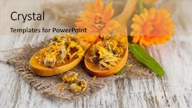  Presentation with calendula - Amazing PPT layouts having fresh and dried calendula flowers on wooden background backdrop and a coral colored foreground