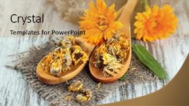  Presentation with calendula - Slide deck having fresh and dried calendula flowers background and a gold colored foreground