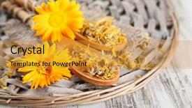  Presentation with calendula - PPT layouts featuring fresh and dried calendula flowers on wooden background background and a gold colored foreground