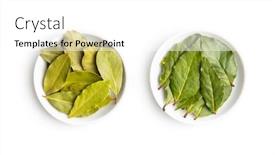  Presentation with green leaves - PPT theme having fresh-and-dried-green-bay background and a white colored foreground