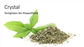  Presentation with dry - Slide deck featuring fresh and dry basil background and a white colored foreground