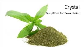  Presentation with dry - Colorful presentation theme enhanced with fresh and dry stevia rebaudiana backdrop and a white colored foreground