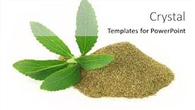  Presentation with dry - Slides having fresh-and-dry-stevia-rebaudiana background and a white colored foreground