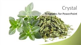  Presentation with thyme - Beautiful slide deck featuring fresh-and-dry-thyme backdrop and a white colored foreground