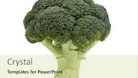  Presentation with fresh green broccoli - Audience pleasing presentation consisting of fresh-and-green-broccoli-pieces backdrop and a yellow colored foreground