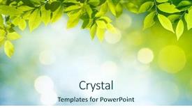  Presentation with green leaves - Colorful PPT theme enhanced with fresh and green leaves natural backdrop and a sky blue colored foreground