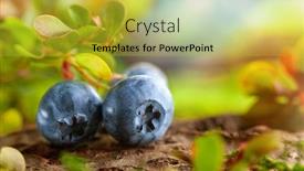  Presentation with green fresh food - Presentation consisting of fresh-and-ripe-blueberries background and a gold colored foreground