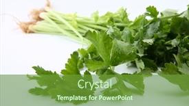  Presentation with celery - PPT layouts with fresh-apium-graveolens-or-chinese background and a tawny brown colored foreground