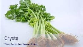  Presentation with celery - Theme having fresh-apium-graveolens-or-chinese background and a sky blue colored foreground