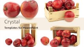  Presentation with love - Colorful PPT theme enhanced with fresh-apples-called-red-love backdrop and a lemonade colored foreground