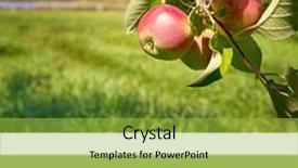  Presentation with example - Colorful slides enhanced with fresh apples growing in an orchard as an example of the trend colour of the year 2017 greenery with corresponding colour hex backdrop and a yellow colored foreground